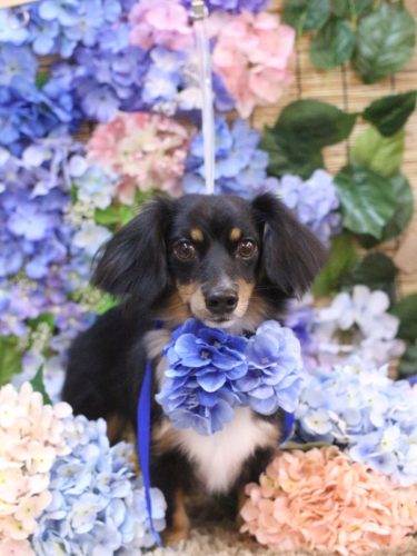 20250629れおくん